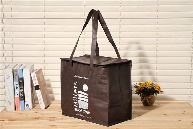 Non Woven Cooler Bag